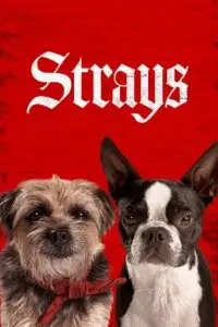 strays 2023 , vegamovies3